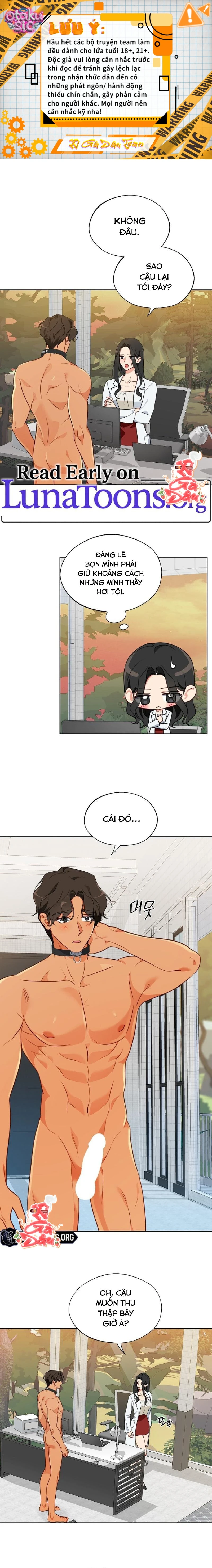 [18+] Mãnh Thú Trong Phòng Nhân Giống - Chap 13 - Trang 1