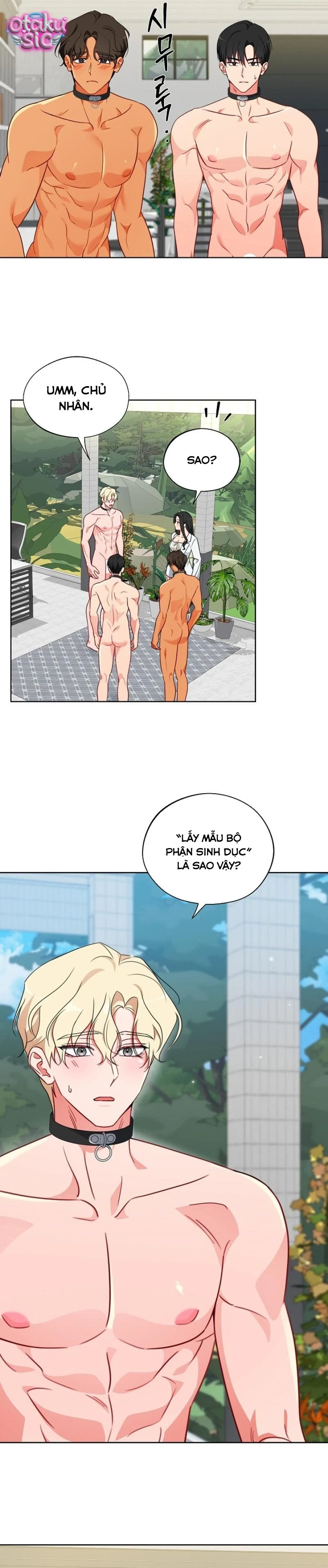 [18+] Mãnh Thú Trong Phòng Nhân Giống - Chap 15 - Trang 5
