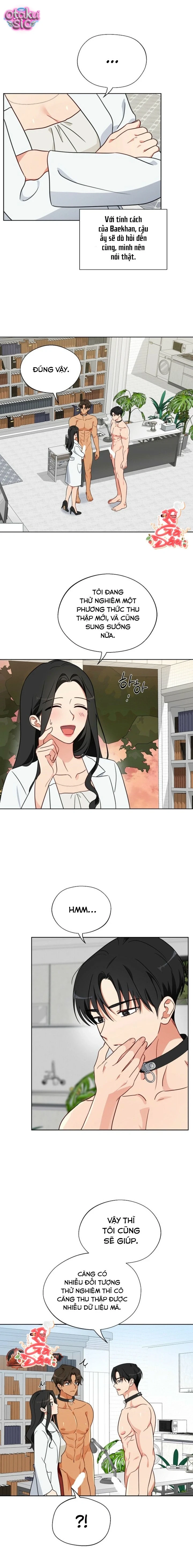 [18+] Mãnh Thú Trong Phòng Nhân Giống - Chap 6 - Trang 11