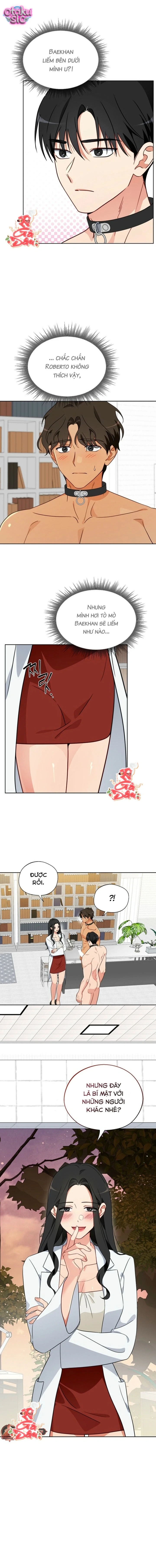 [18+] Mãnh Thú Trong Phòng Nhân Giống - Chap 6 - Trang 12