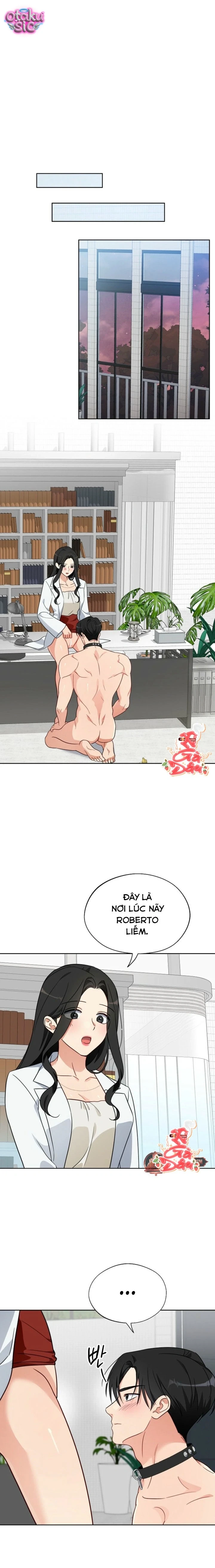 [18+] Mãnh Thú Trong Phòng Nhân Giống - Chap 6 - Trang 13