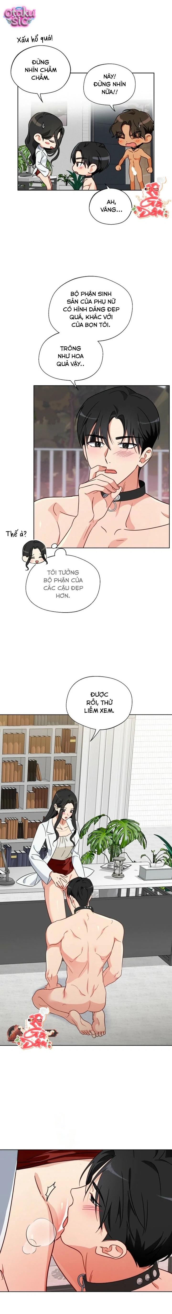 [18+] Mãnh Thú Trong Phòng Nhân Giống - Chap 6 - Trang 14