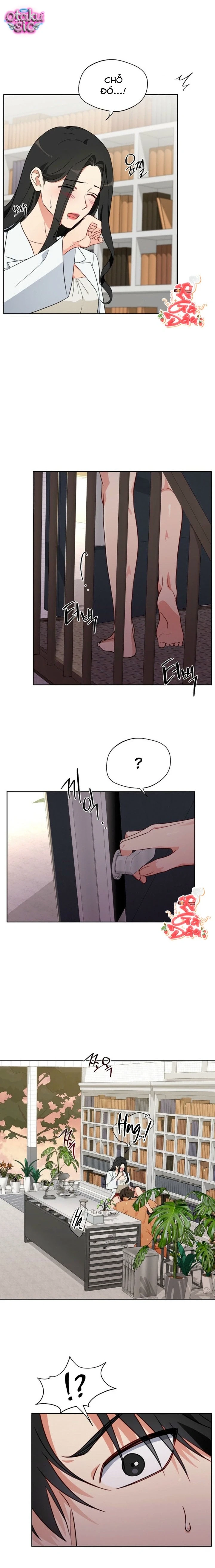 [18+] Mãnh Thú Trong Phòng Nhân Giống - Chap 6 - Trang 4