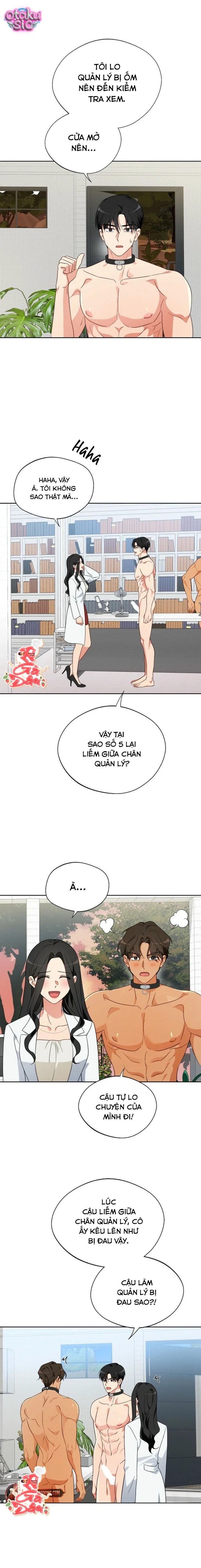 [18+] Mãnh Thú Trong Phòng Nhân Giống - Chap 6 - Trang 7