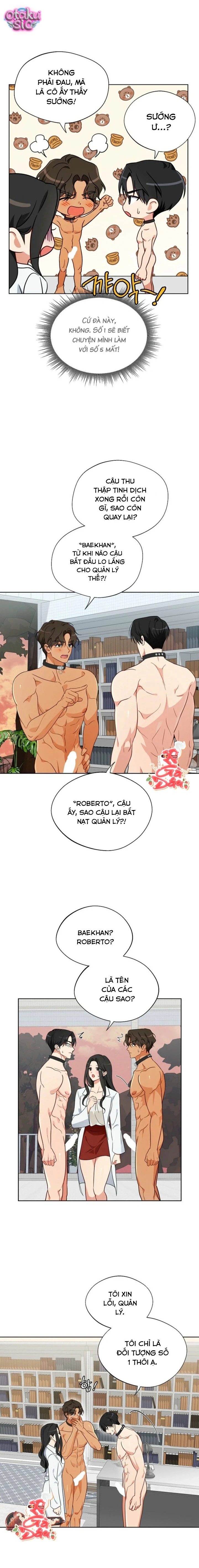 [18+] Mãnh Thú Trong Phòng Nhân Giống - Chap 6 - Trang 8