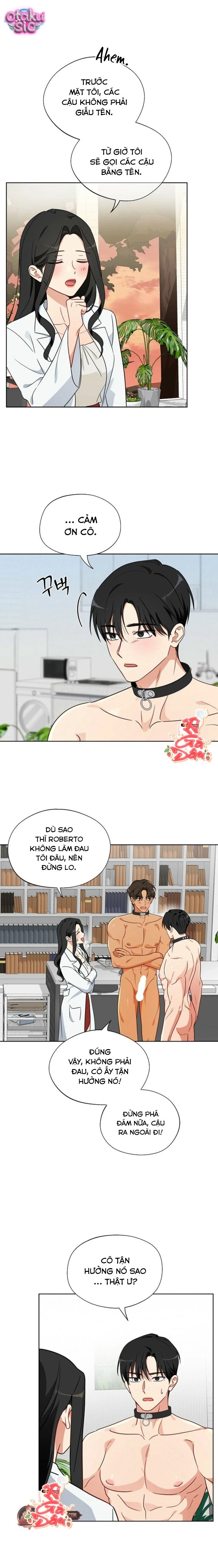 [18+] Mãnh Thú Trong Phòng Nhân Giống - Chap 6 - Trang 10