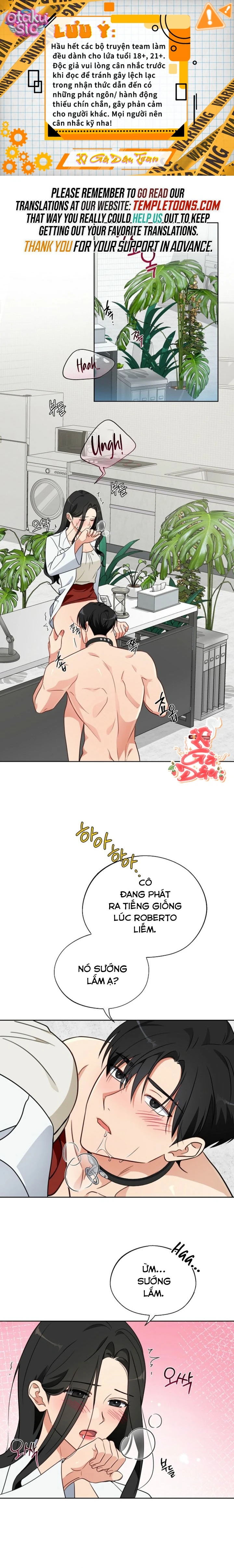 [18+] Mãnh Thú Trong Phòng Nhân Giống - Chap 7 - Trang 1