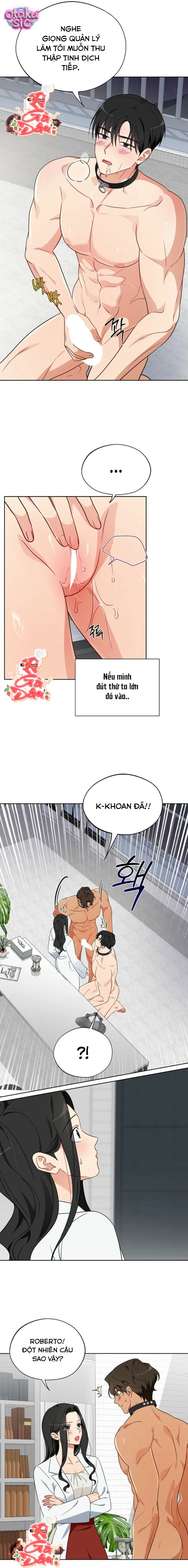 [18+] Mãnh Thú Trong Phòng Nhân Giống - Chap 7 - Trang 2
