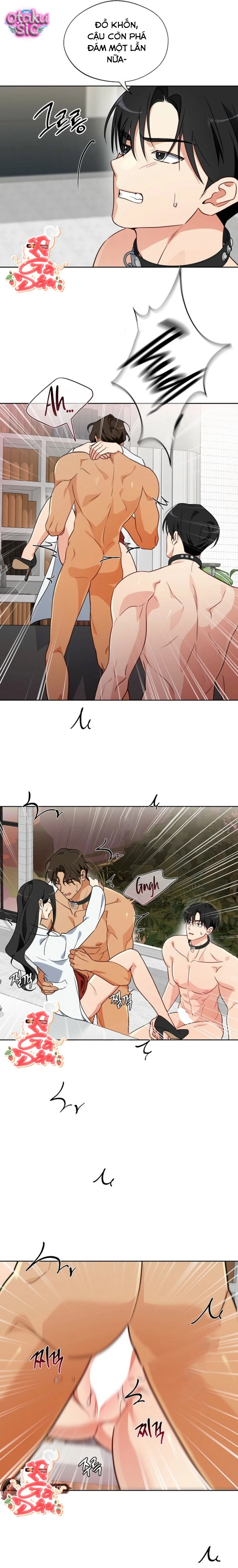 [18+] Mãnh Thú Trong Phòng Nhân Giống - Chap 7 - Trang 11