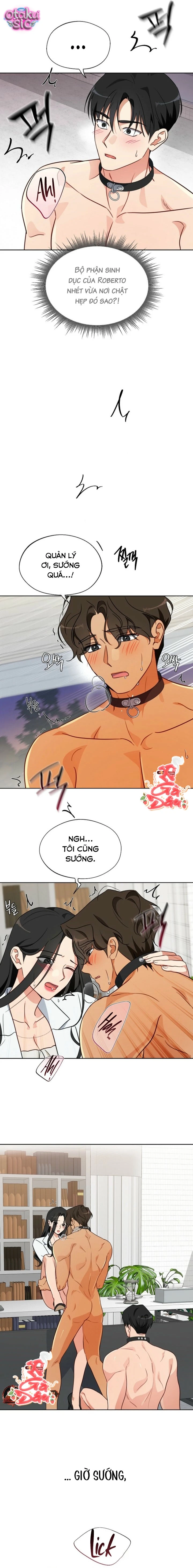 [18+] Mãnh Thú Trong Phòng Nhân Giống - Chap 7 - Trang 12