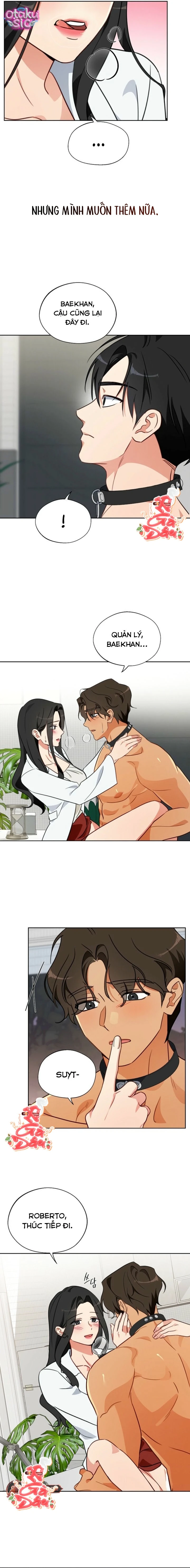 [18+] Mãnh Thú Trong Phòng Nhân Giống - Chap 7 - Trang 13