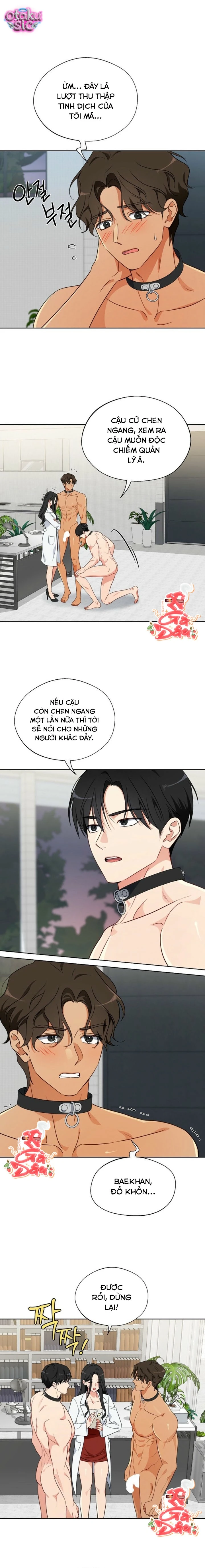 [18+] Mãnh Thú Trong Phòng Nhân Giống - Chap 7 - Trang 3
