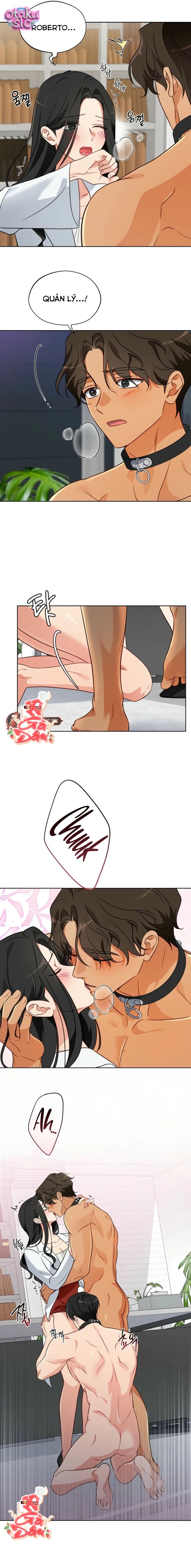 [18+] Mãnh Thú Trong Phòng Nhân Giống - Chap 7 - Trang 6