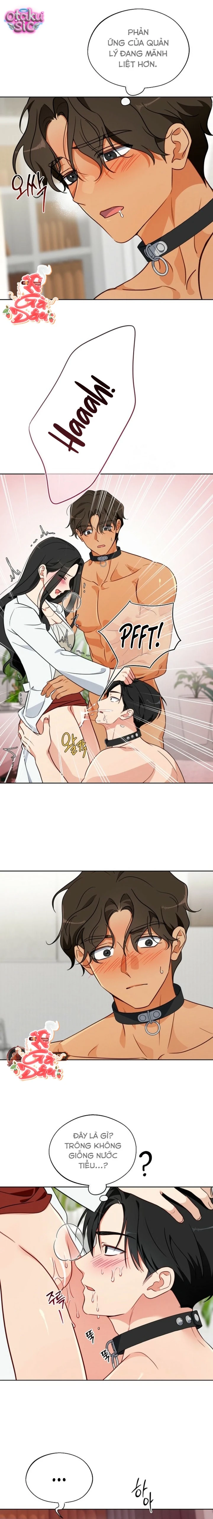 [18+] Mãnh Thú Trong Phòng Nhân Giống - Chap 7 - Trang 8