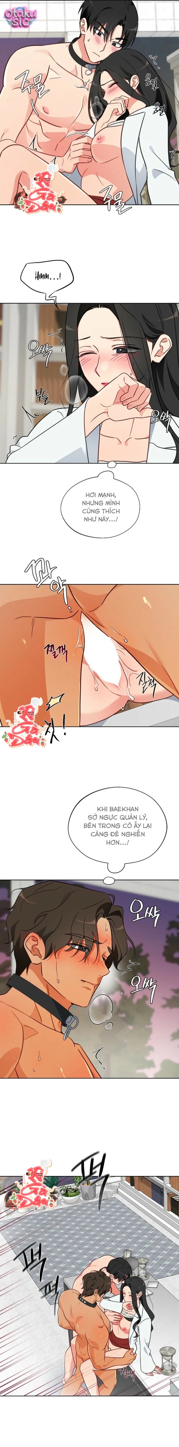 [18+] Mãnh Thú Trong Phòng Nhân Giống - Chap 8 - Trang 4