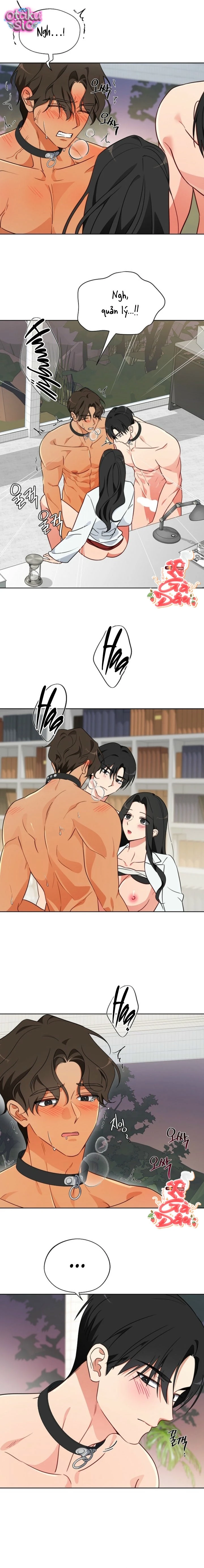 [18+] Mãnh Thú Trong Phòng Nhân Giống - Chap 8 - Trang 5