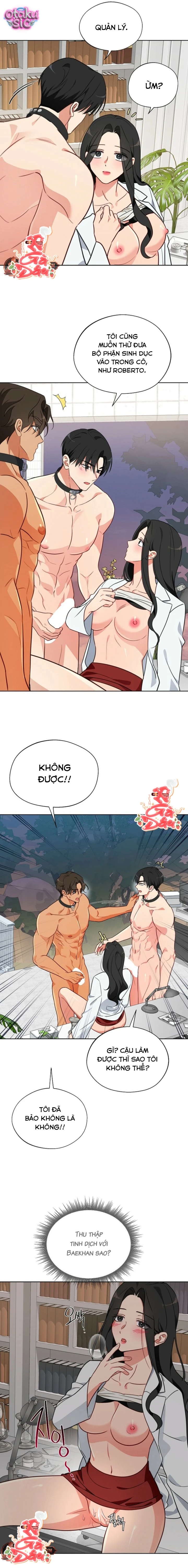 [18+] Mãnh Thú Trong Phòng Nhân Giống - Chap 8 - Trang 6
