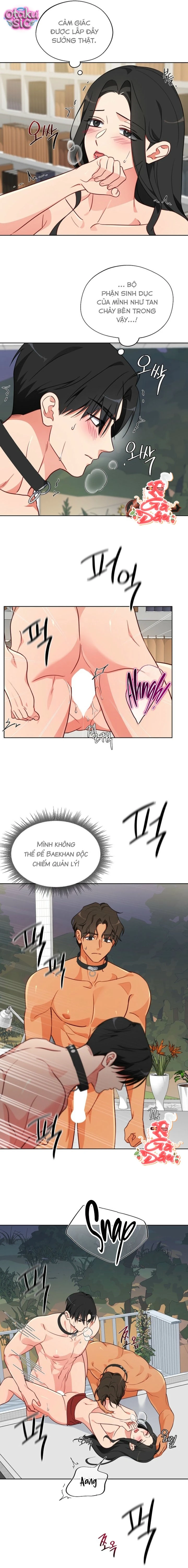 [18+] Mãnh Thú Trong Phòng Nhân Giống - Chap 8 - Trang 10