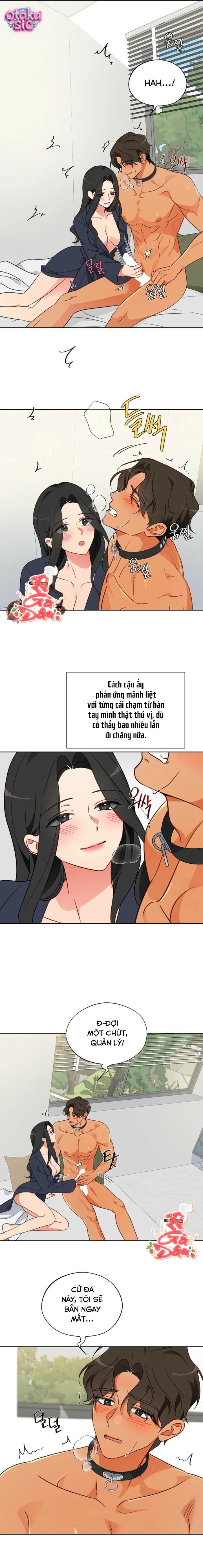 [18+] Mãnh Thú Trong Phòng Nhân Giống - Chap 9 - Trang 9