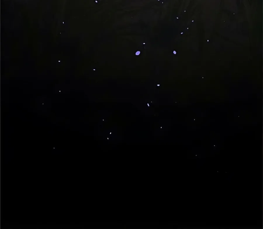 [18+] Tiêu Bản - Chap 4 - Trang 82