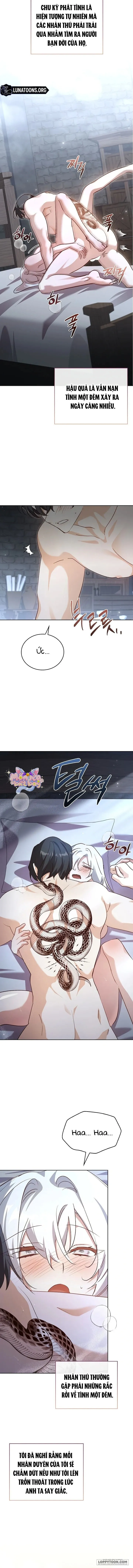 [18+] Tôi Đang Tìm Con Sói Đã Trêu Đùa Con Rắn Đen - Chap 0 - Trang 2