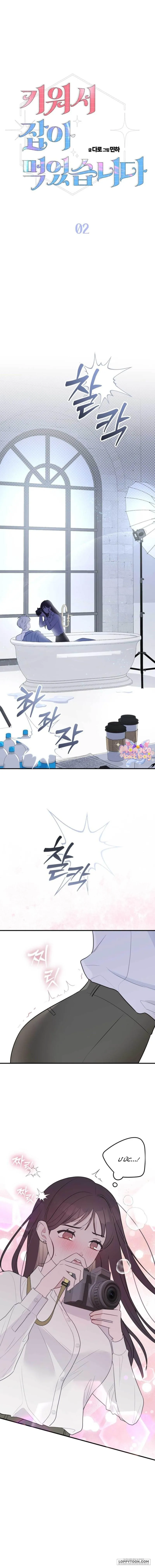 [18+] Tôi Nuôi Trai Chỉ Để "Thịt" - Chap 2 - Trang 1