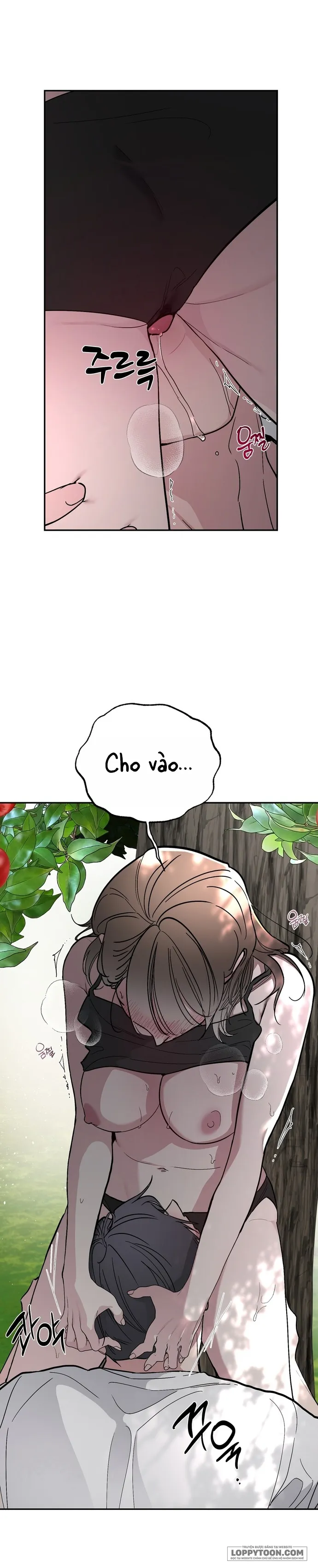 [19+] Ẩn Tình Nơi Vườn Cây Ăn Quả - Chap 5 - Trang 12