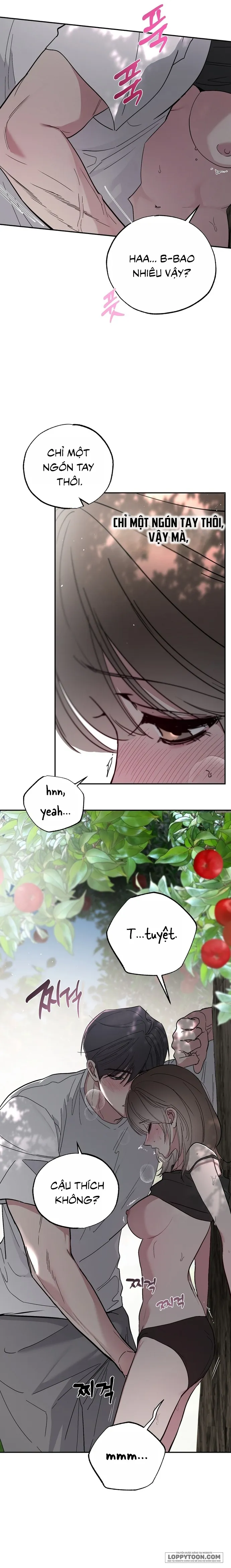[19+] Ẩn Tình Nơi Vườn Cây Ăn Quả - Chap 5 - Trang 19