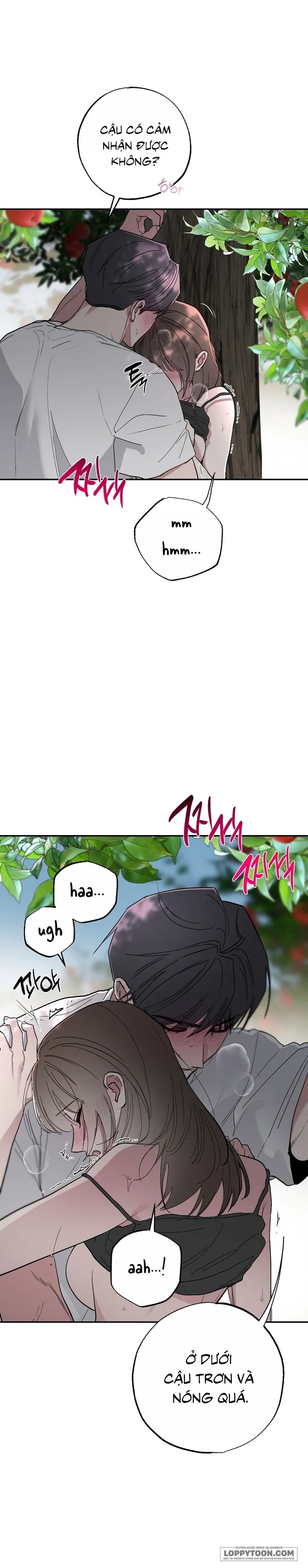 [19+] Ẩn Tình Nơi Vườn Cây Ăn Quả - Chap 5 - Trang 22