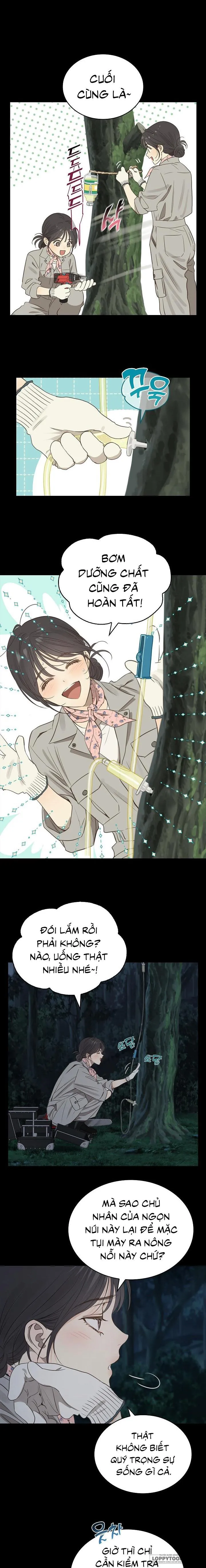 [19+] Đóa Hoa Là Mồi Nhử - Chap 1 - Trang 3