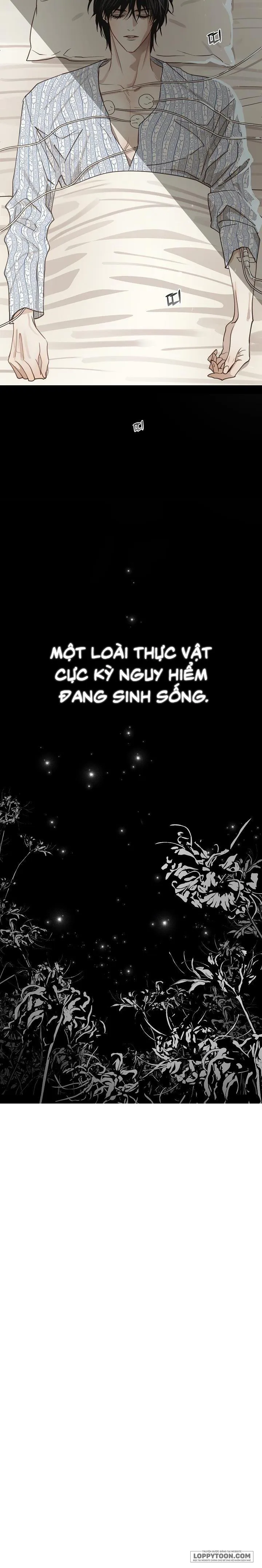 [19+] Đóa Hoa Là Mồi Nhử - Chap 1 - Trang 29