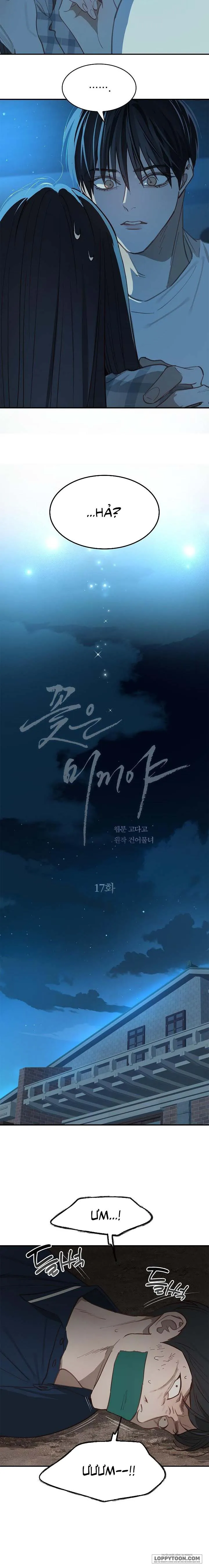 [19+] Đóa Hoa Là Mồi Nhử - Chap 17 - Trang 2