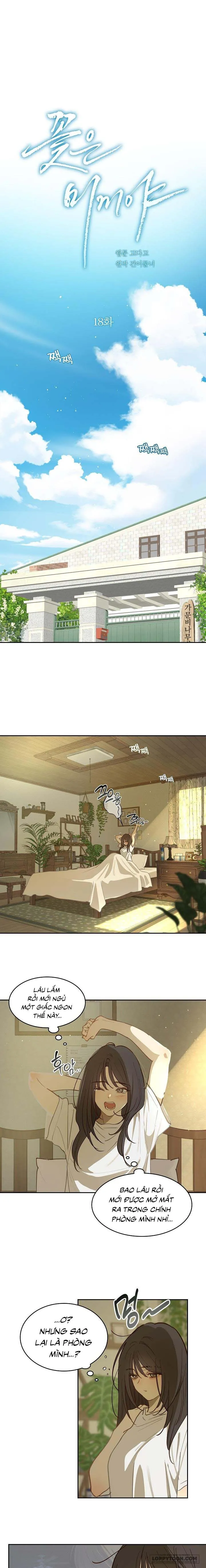 [19+] Đóa Hoa Là Mồi Nhử - Chap 18 - Trang 1