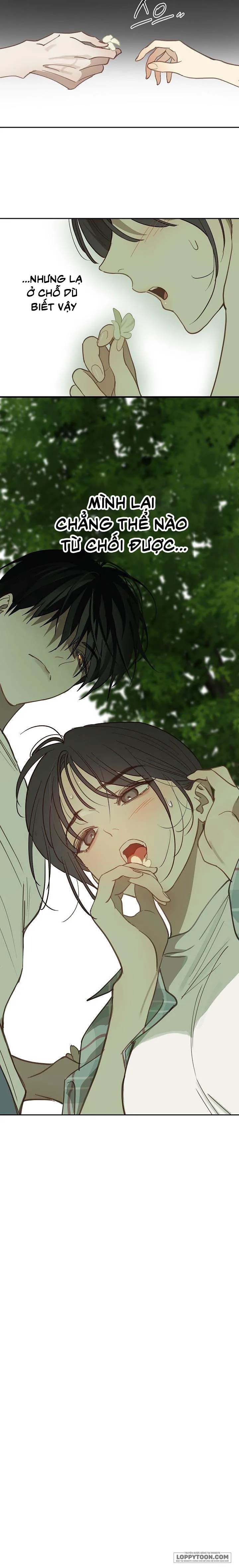 [19+] Đóa Hoa Là Mồi Nhử - Chap 18 - Trang 17