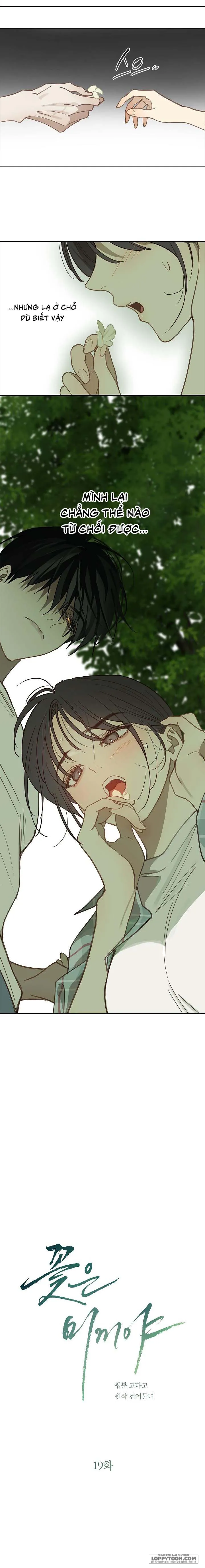 [19+] Đóa Hoa Là Mồi Nhử - Chap 19 - Trang 2