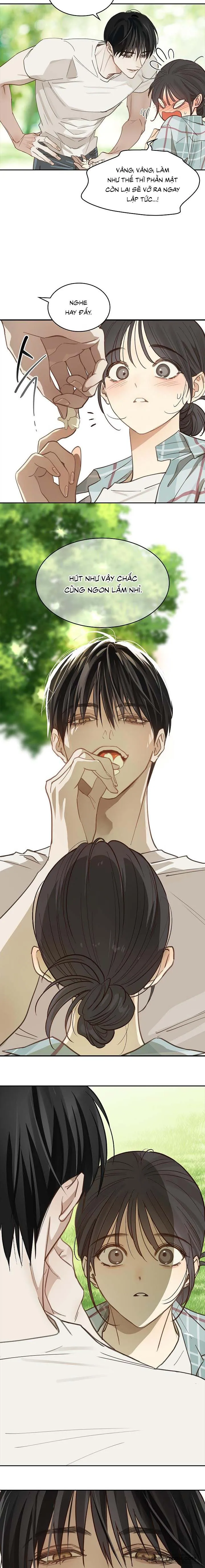 [19+] Đóa Hoa Là Mồi Nhử - Chap 19 - Trang 4