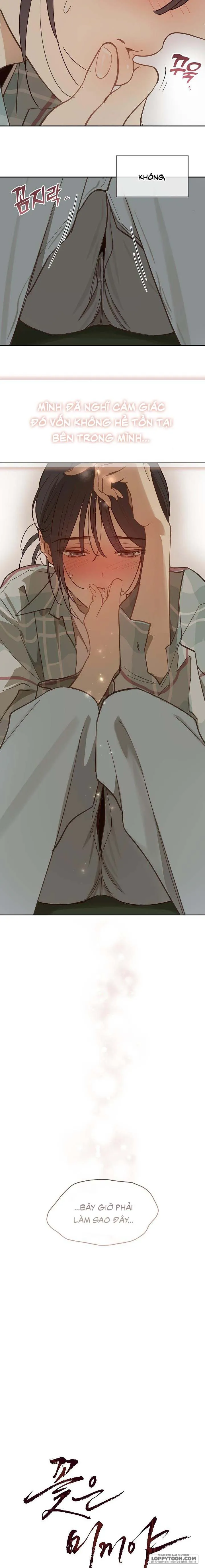 [19+] Đóa Hoa Là Mồi Nhử - Chap 20 - Trang 8