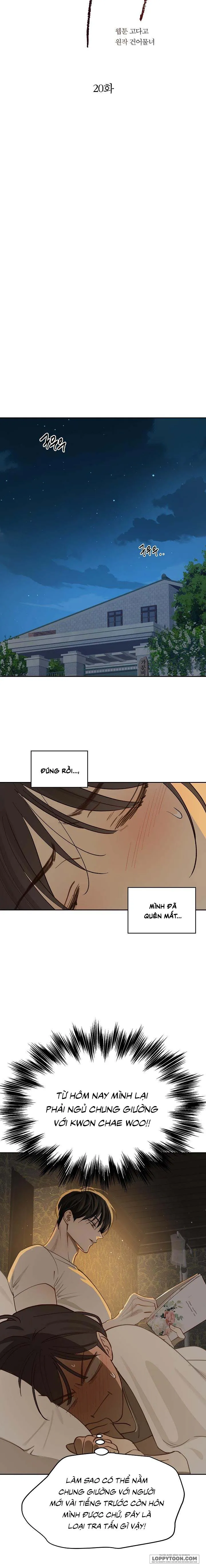 [19+] Đóa Hoa Là Mồi Nhử - Chap 20 - Trang 9