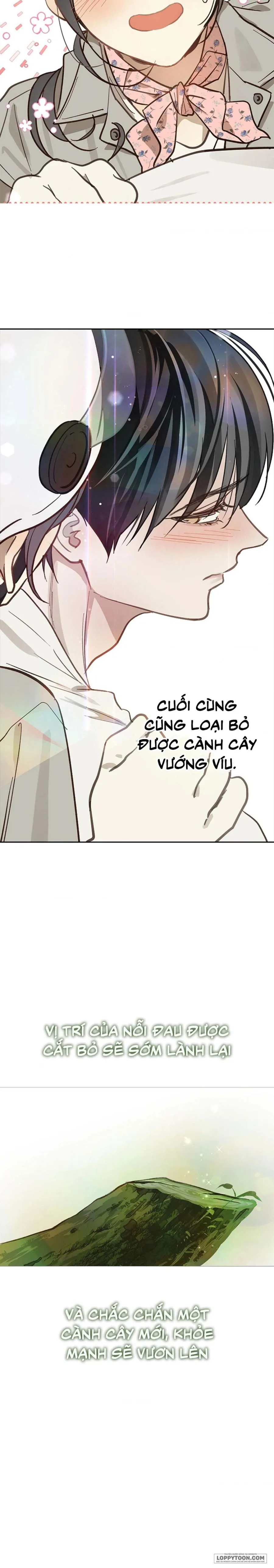 [19+] Đóa Hoa Là Mồi Nhử - Chap 22 - Trang 24