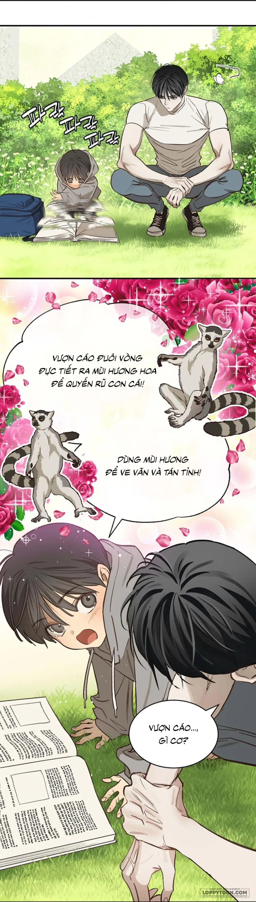 [19+] Đóa Hoa Là Mồi Nhử - Chap 25 - Trang 5