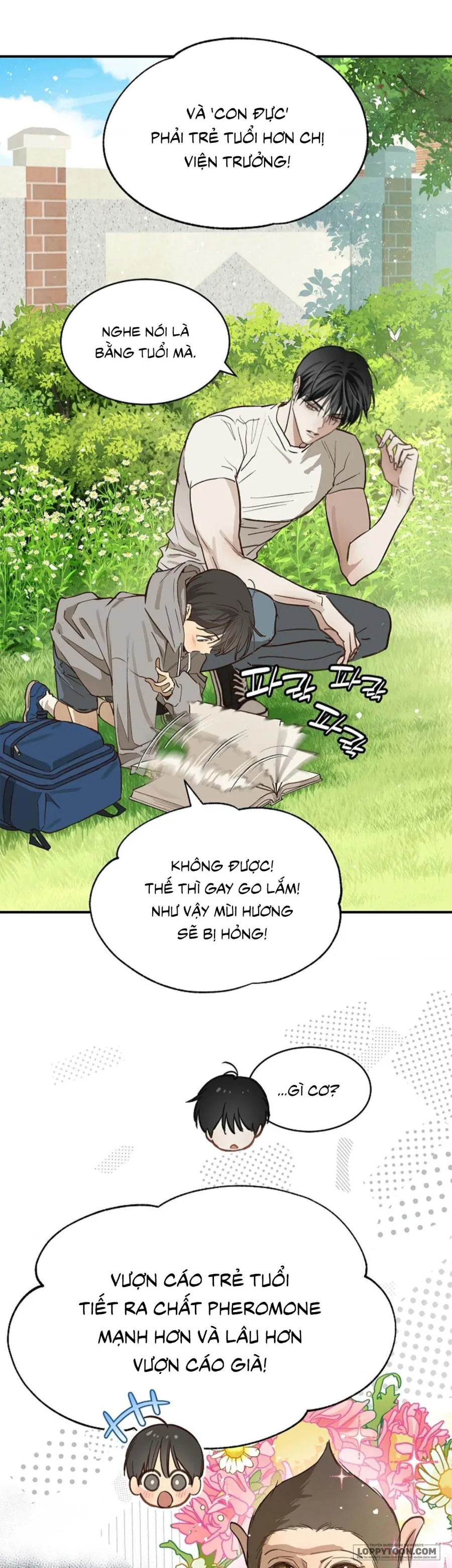 [19+] Đóa Hoa Là Mồi Nhử - Chap 25 - Trang 7