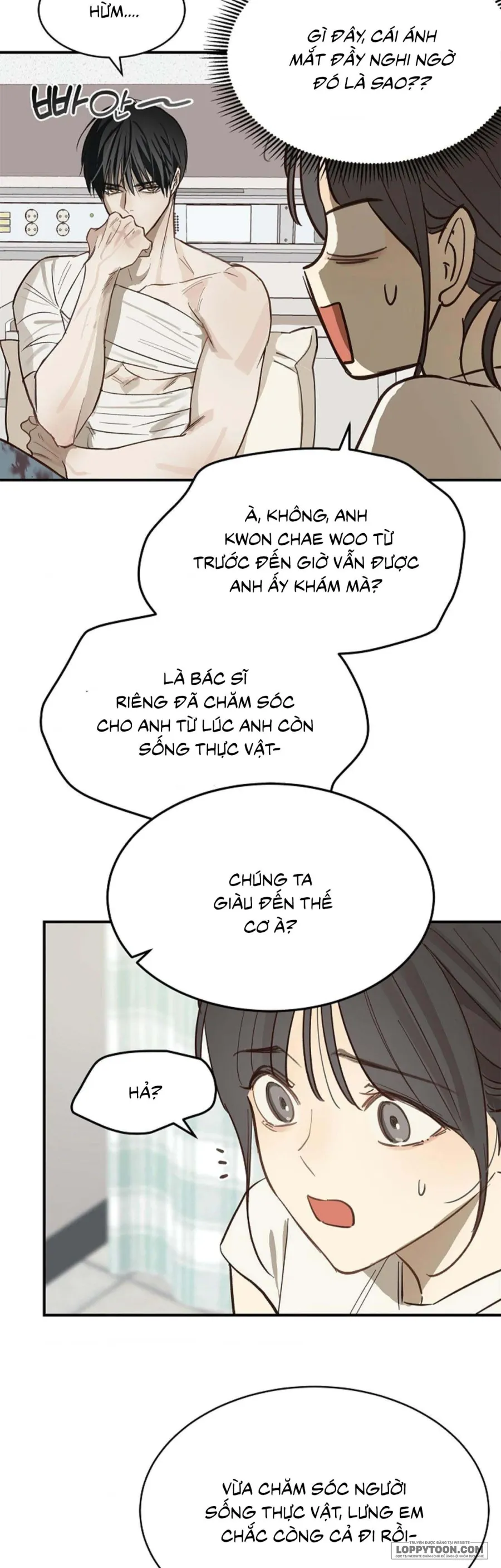 [19+] Đóa Hoa Là Mồi Nhử - Chap 27 - Trang 46