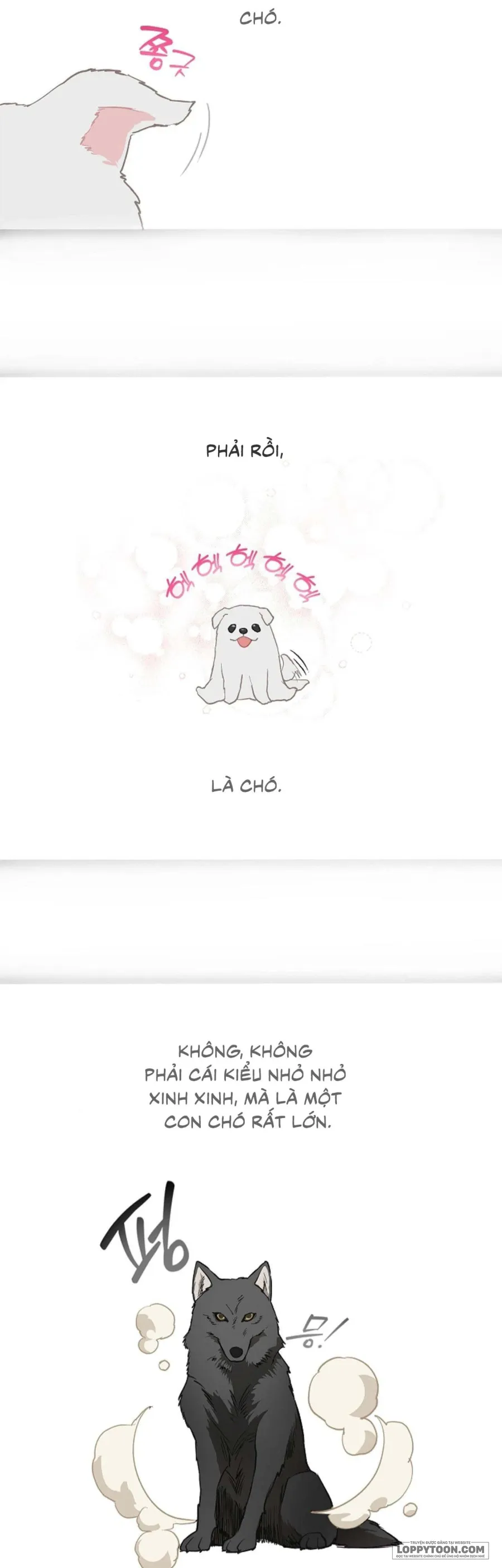 [19+] Đóa Hoa Là Mồi Nhử - Chap 29 - Trang 12