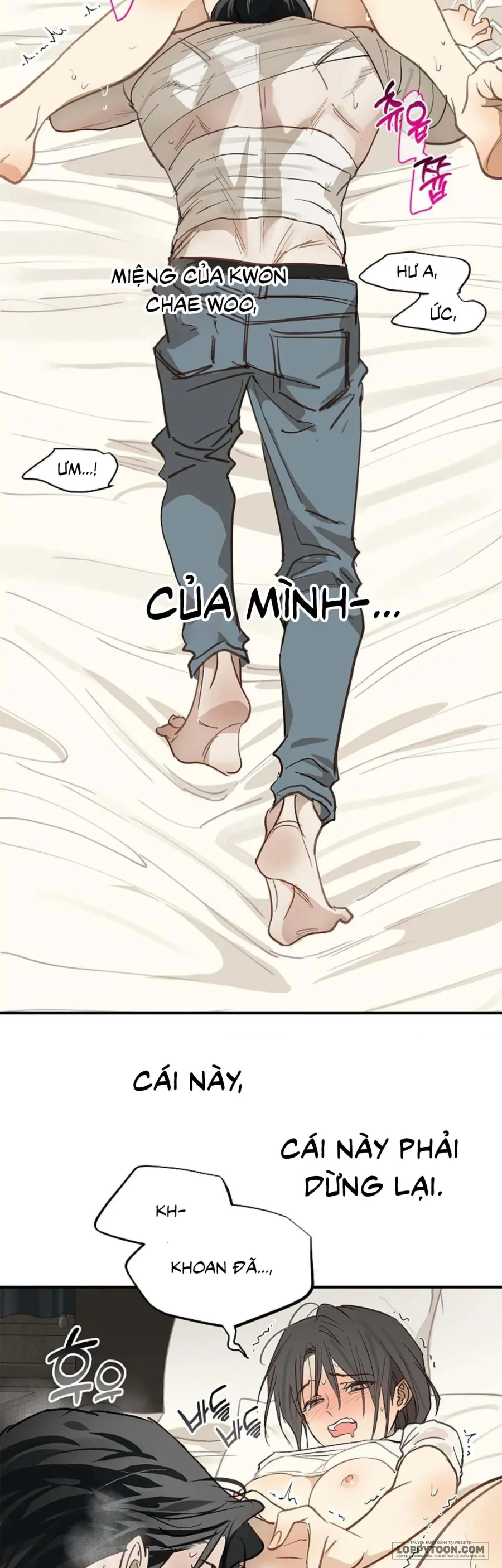 [19+] Đóa Hoa Là Mồi Nhử - Chap 31 - Trang 14