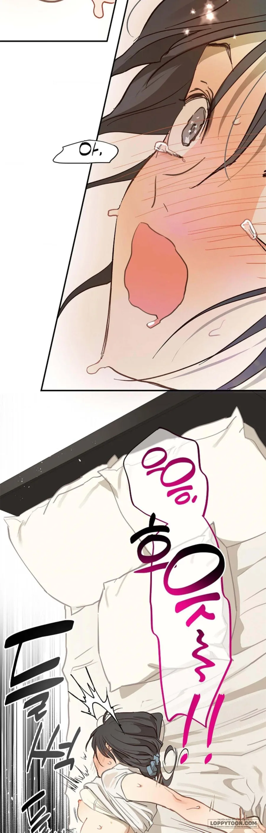 [19+] Đóa Hoa Là Mồi Nhử - Chap 31 - Trang 21