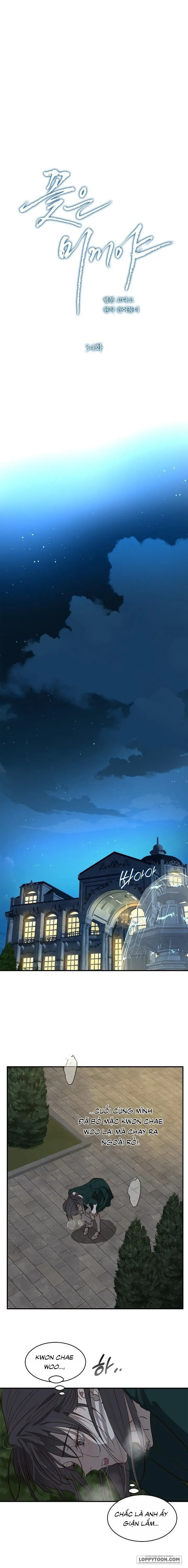 [19+] Đóa Hoa Là Mồi Nhử - Chap 34 - Trang 17