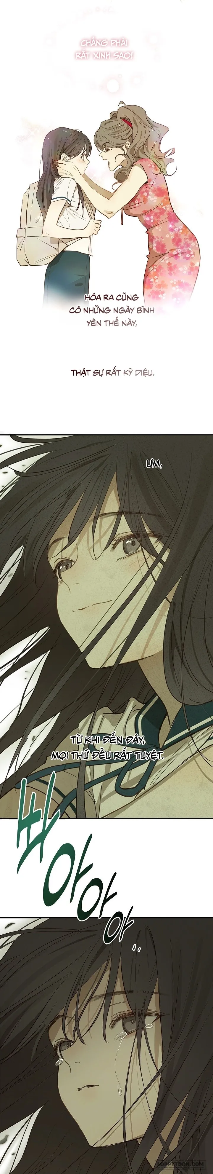 [19+] Đóa Hoa Là Mồi Nhử - Chap 37 - Trang 4