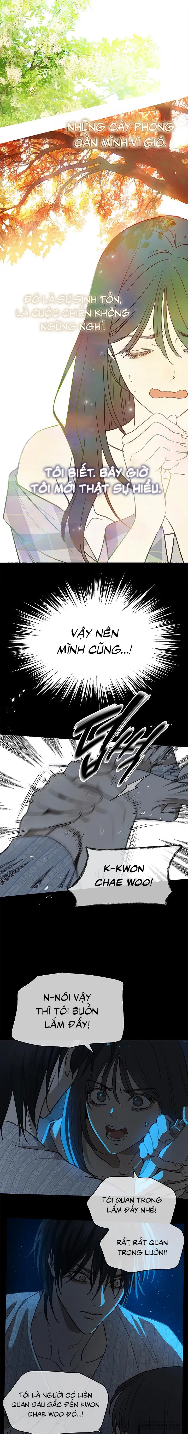 [19+] Đóa Hoa Là Mồi Nhử - Chap 4 - Trang 2