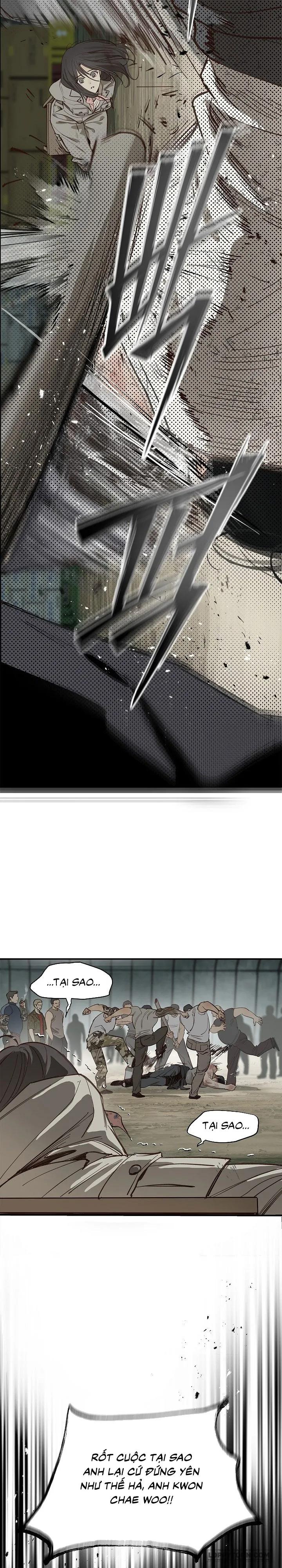 [19+] Đóa Hoa Là Mồi Nhử - Chap 41 - Trang 13