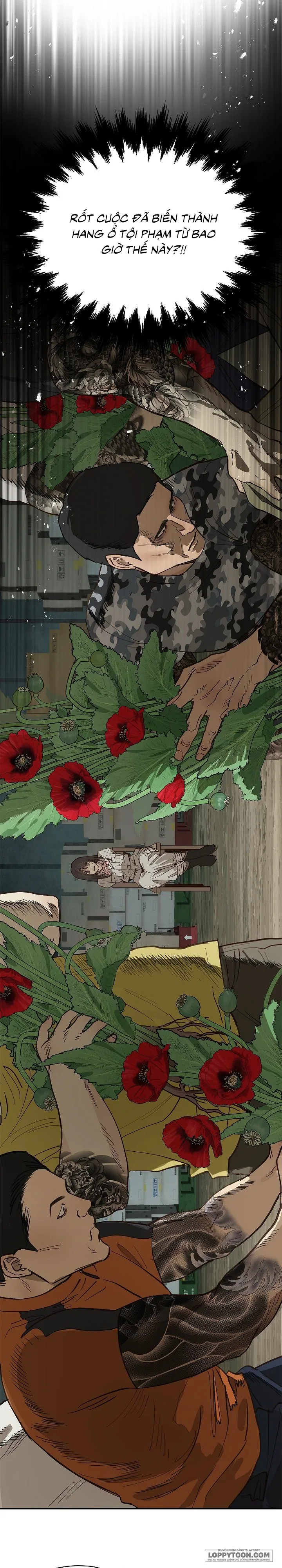 [19+] Đóa Hoa Là Mồi Nhử - Chap 41 - Trang 3